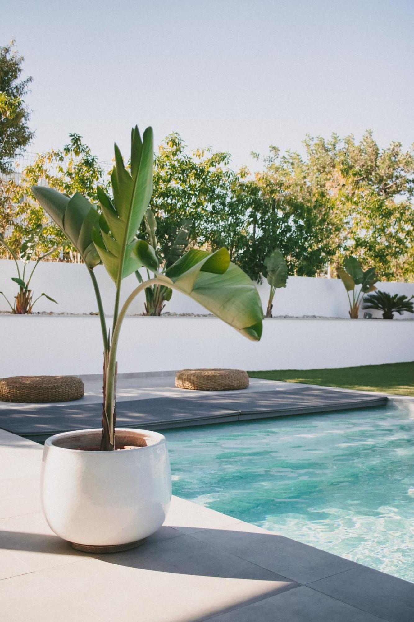 Casa Lnnoa Boutique Room Whit Private Pool Лагос Екстериор снимка